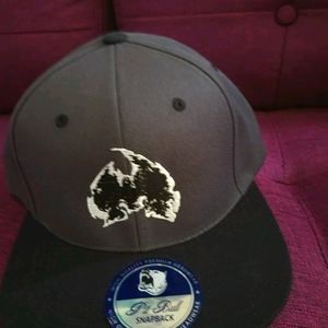 wutang hat snapback New